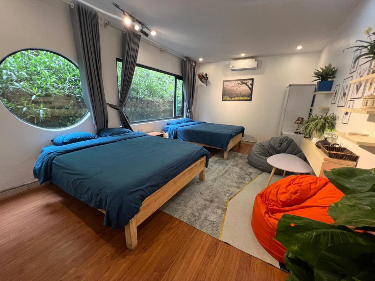 Проживание в семье Catcat Garden House