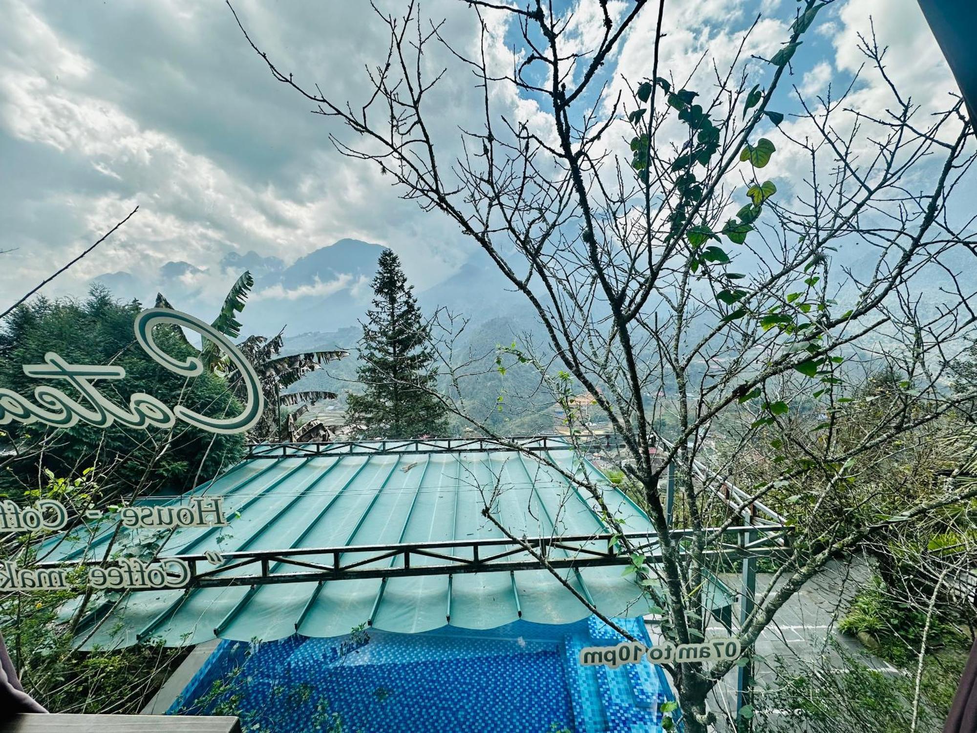 Проживание в семье Catcat Garden House *